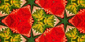 Criaturas: As abelhas no Jardim das Rosas de Josef Johann Michel