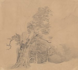 Grupo de árvores de Josef Kriehuber