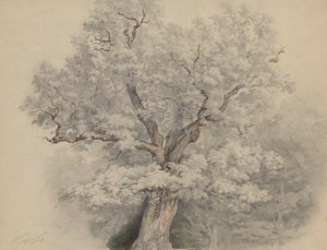  de Josef Kriehuber
