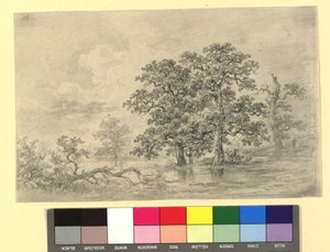 Paisagem fluvial com árvores de Josef Kriehuber
