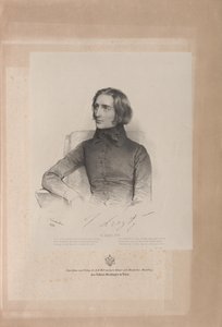 Retrato de Franz Liszt 1811-1886, 1838.