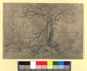 Paisagem florestal de Josef Kriehuber