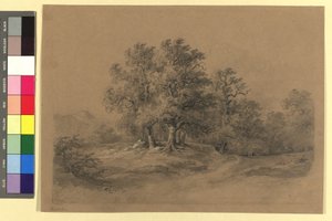 Paisagem florestal de Josef Kriehuber