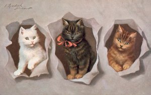 Postal de gato (litografia a cores)