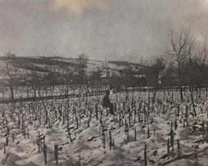 Álbum "Meine weltkriegs - Erinnerungen South-West Front (Caríntia, Itália, Tirol do Sul) (My world war - memories of the South-Western Front in Carinthia, Italy, Trentino-Alto Adige) 31/03/1915-12/11/1918 - Josef Zohles Wien ": Cemitério militar (foto a p/ de Josef Zohles