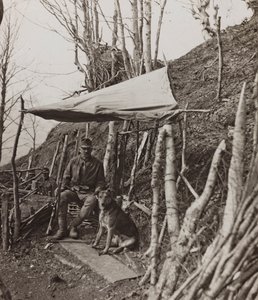 Álbum "Meine weltkriegs - Erinnerungen South-West Front (Caríntia, Itália, Tirol do Sul) (My world war - memories of the South-Western Front in Carinthia, Italy, Trentino-Alto Adige) 31/03/1915-12/11/1918 - Josef Zohles Wien ": cão militar debaixo de uma t de Josef Zohles