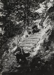 Álbum "Meine weltkriegs - Erinnerungen South-West Front (Caríntia, Itália, Tirol do Sul) (My world war - memories of the South-Western Front in Carinthia, Italy, Trentino-Alto Adige) 31/03/1915-12/11/1918 - Josef Zohles Wien ": Mulas do exército ao longo d de Josef Zohles