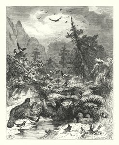 Busca por Deus (gravura) de Joseph (after) Wolf
