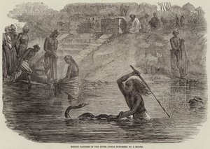 Banhistas hindus no rio Jumna surpreendidos por uma serpente