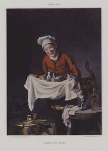 Cães e Gatos
