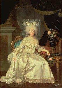 Retrato, de, louise, marie josephine, de, savoy, condessa provence