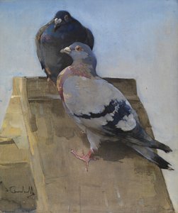 Pombos no telhado (guache sobre linho) de Joseph Crawhall