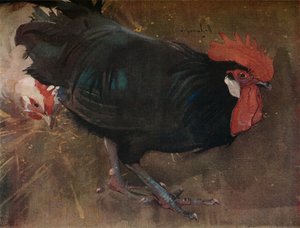O Galo Negro, c1894