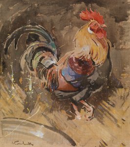 O galo de Minorca (guache sobre linho)