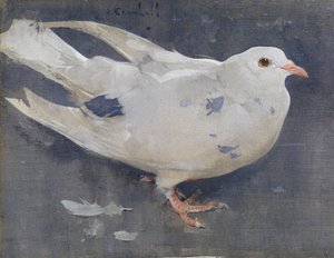 O Pombo (guache sobre linho)