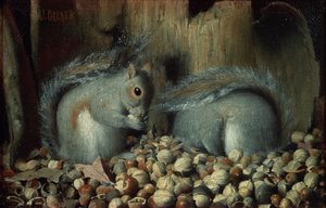 Os glutões (esquilos)