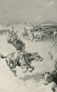 Criação de gado em Queensland de Joseph Finnemore