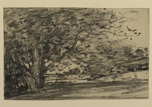 Estudo de Árvores, 1870 (grafite sobre papel)