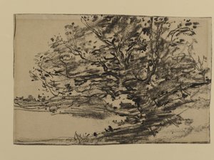 Estudo de Árvores, 1870 (grafite sobre papel)