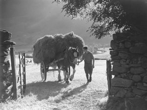 Cavalo a puxar uma carroça de feno carregada através do portão de Joseph Hardman