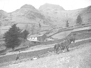 Dois cavalos a lavrar com um único trabalhador agrícola de Joseph Hardman