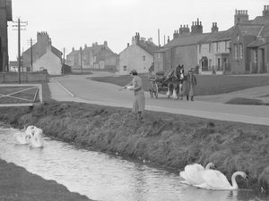 Mulher a alimentar cisnes em Allonby com um homem a conduzir um cavalo e uma carroça pela estrada de Joseph Hardman