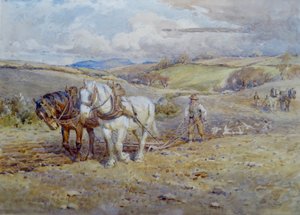 Cavalos pesados a lavrar nas Downs