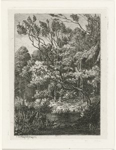 Vista da floresta de Joseph Hartogensis