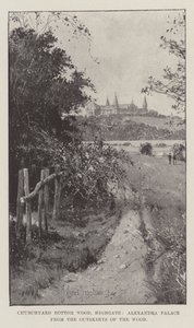 Churchyard Bottom Wood, Highgate, Alexandra Palace dos arredores da floresta de Joseph Holland Tringham