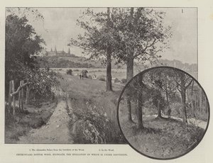 Churchyard Bottom Wood, Highgate, cuja espoliação está em discussão de Joseph Holland Tringham