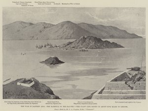 A guerra na Ásia Oriental, o porto de Wei-hai-Wei de Joseph Holland Tringham