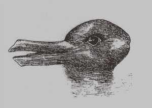 Ilusão de pato-coelho. De: Jastrow, J. O olho da mente. Popular Science Mensal, 1899 de Joseph Jastrow