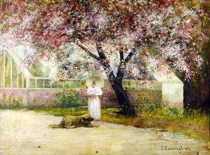Desabrochar de Joseph Malachy Kavanagh