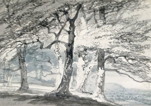 Norbury Park, Surrey (lápis e aquarela sobre papel) de Joseph Mallord William (attr.to) Turner