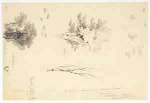 Esboços de olmos e freixos de Joseph Mallord William Turner