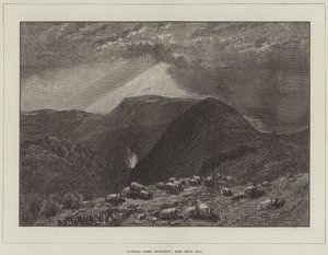 Turner, Hind Cabeça de Colina