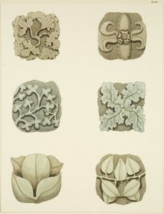 Pedras da virilha (chefes) no tecto de St Mary Redcliffe (aguarela sobre papel) de Joseph Manning
