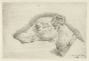 Cabeça de um galgo de Joseph Mendes da Costa