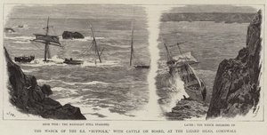 O naufrágio do SS Suffolk, com bovinos a bordo, no Lizard Head, na Cornualha