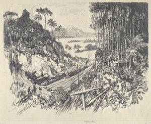 A selva de Joseph Pennell