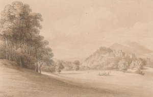 Castelo de Dunster, Somerset: Mostrando o Castelo à Distância