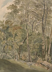 Em Rydal Park