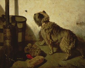 O cão e a mosca, 1856