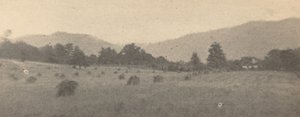 Paisagem com árvores e montanhas
