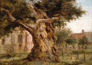 O carvalho velho, 1870