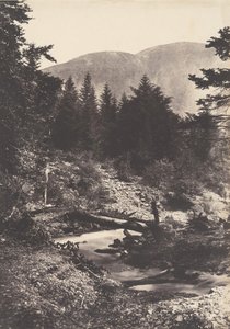 Torrent of the Demoiselles waterfall, Bagnères de Luchon, 1853.