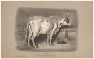 Vaca em um estábulo Vache (título no objeto) Estudos em animais em dois tipos de giz (título da série) Etude aux deux crayons par Z. Gengembre (título da série no objeto)