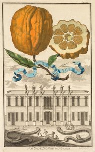 Nurmbergische Hesperides: No. 185 - Sweet Striated Aranzo. Palazzo del N. H. Fonte em Noventa