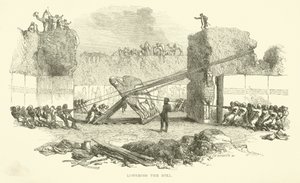 Abaixando o touro de Josiah Wood Whymper