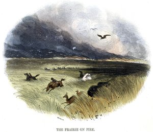 Pradaria em chamas, de Fenômenos da Natureza, 1849